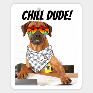 Chill Dude! Sticker